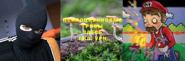 дурь Володарск