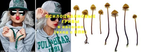 дурь Володарск