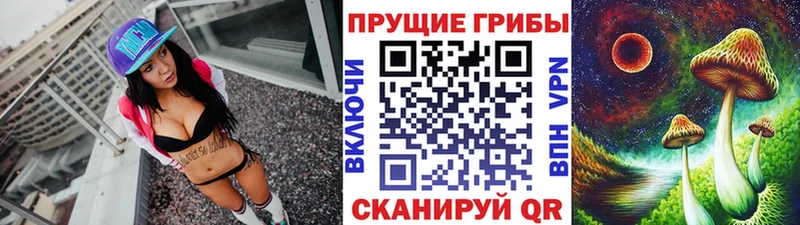 магазин продажи   Мезень  Галлюциногенные грибы мицелий 